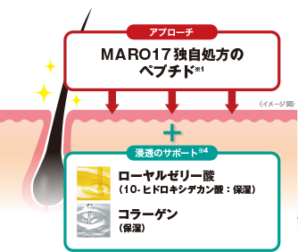 独自処方ペプチド*1（保湿）＋ローヤルゼリー酸(10-ヒドロキシデカン酸：保湿)　コラーゲン(保湿)