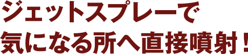 ジェットスプレーで 気になる所へ直接噴射